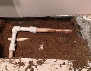 通榆测漏水哪家好