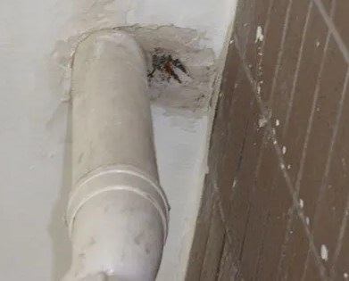 通榆漏水检测哪家好